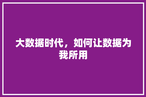 大数据时代，如何让数据为我所用