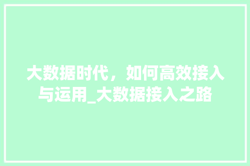 大数据时代，如何高效接入与运用_大数据接入之路