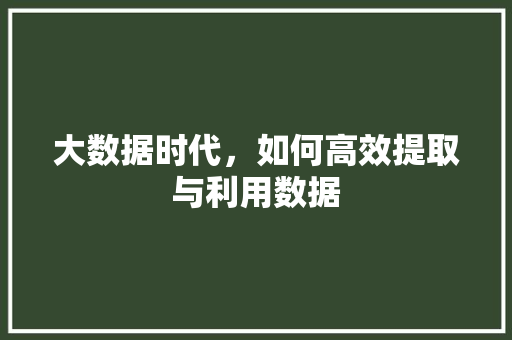 大数据时代，如何高效提取与利用数据