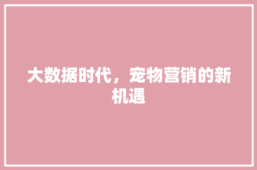 大数据时代，宠物营销的新机遇