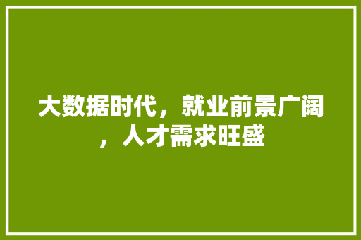 大数据时代，就业前景广阔，人才需求旺盛