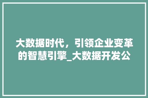 大数据时代，引领企业变革的智慧引擎_大数据开发公司