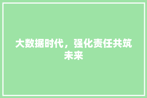 大数据时代，强化责任共筑未来