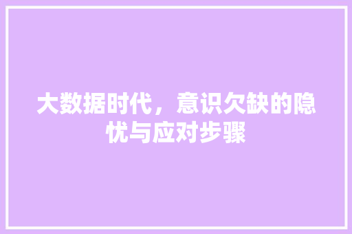 大数据时代，意识欠缺的隐忧与应对步骤