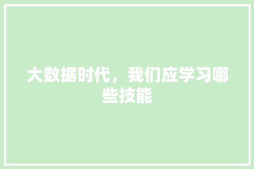 大数据时代，我们应学习哪些技能