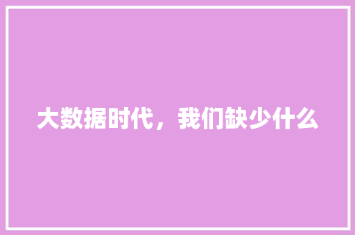 大数据时代，我们缺少什么