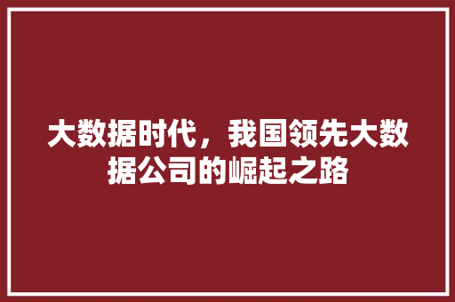 大数据时代，我国领先大数据公司的崛起之路