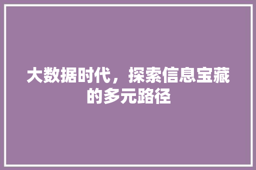 大数据时代，探索信息宝藏的多元路径