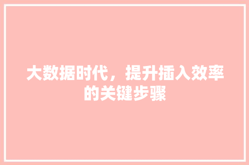 大数据时代，提升插入效率的关键步骤