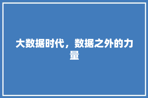 大数据时代，数据之外的力量