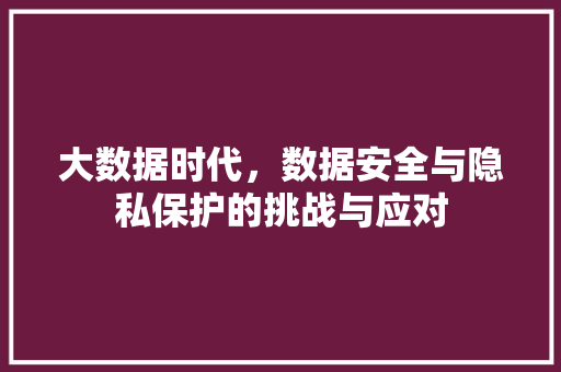 大数据时代，数据安全与隐私保护的挑战与应对
