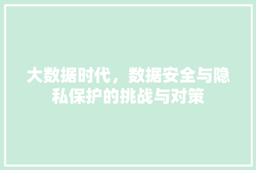 大数据时代，数据安全与隐私保护的挑战与对策