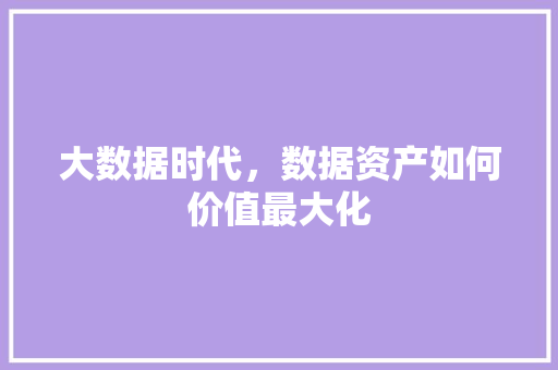 大数据时代，数据资产如何价值最大化