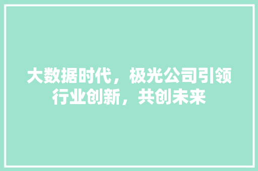 大数据时代，极光公司引领行业创新，共创未来