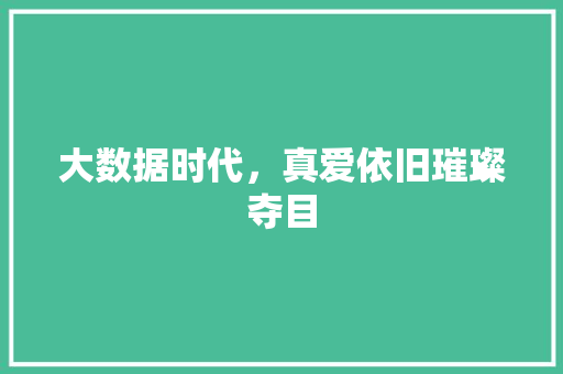 大数据时代，真爱依旧璀璨夺目