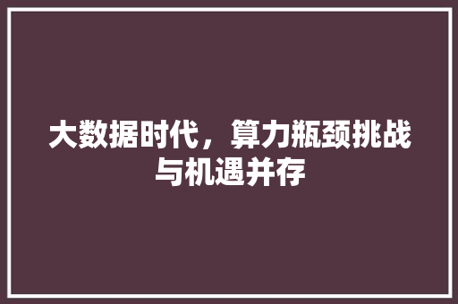 大数据时代，算力瓶颈挑战与机遇并存