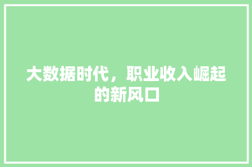 大数据时代，职业收入崛起的新风口