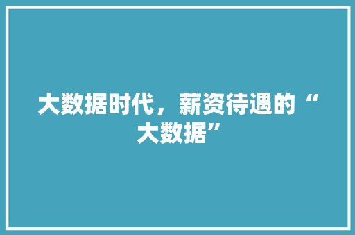 大数据时代，薪资待遇的“大数据”