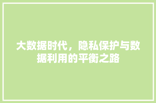 大数据时代，隐私保护与数据利用的平衡之路