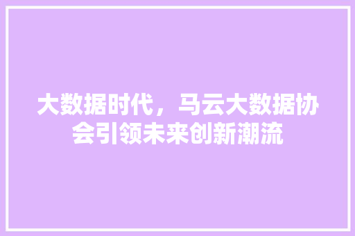 大数据时代，马云大数据协会引领未来创新潮流