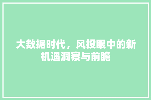 大数据时代，风投眼中的新机遇洞察与前瞻