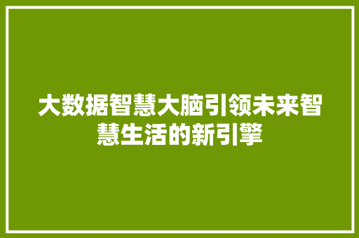 大数据智慧大脑引领未来智慧生活的新引擎