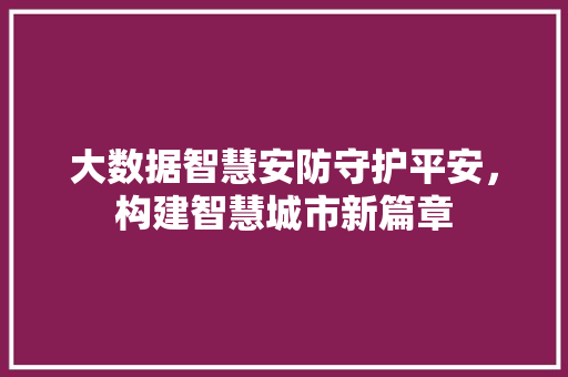 大数据智慧安防守护平安，构建智慧城市新篇章