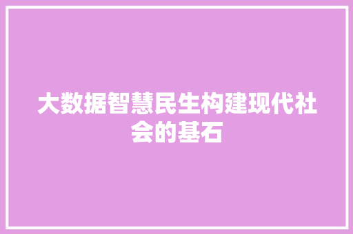 大数据智慧民生构建现代社会的基石