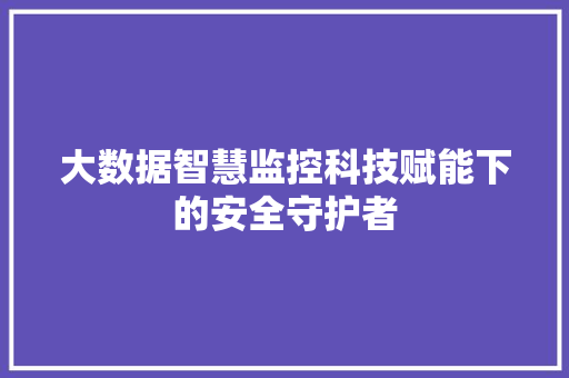 大数据智慧监控科技赋能下的安全守护者