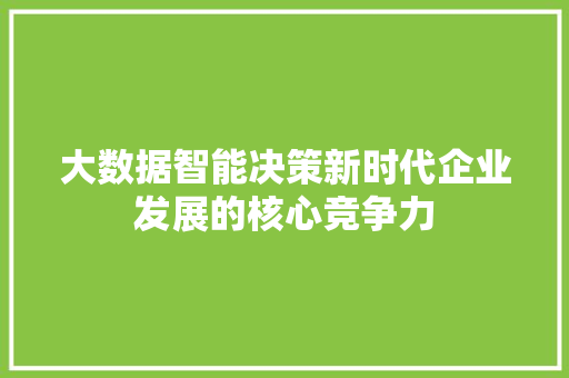 大数据智能决策新时代企业发展的核心竞争力