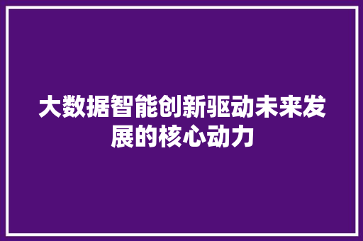 大数据智能创新驱动未来发展的核心动力