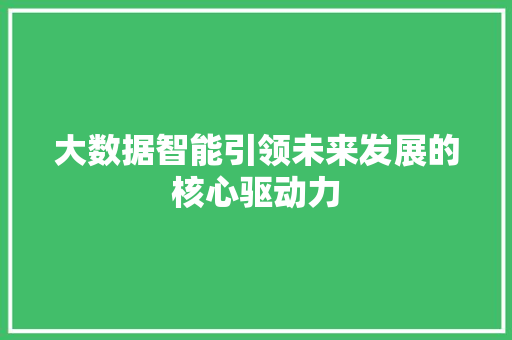 大数据智能引领未来发展的核心驱动力