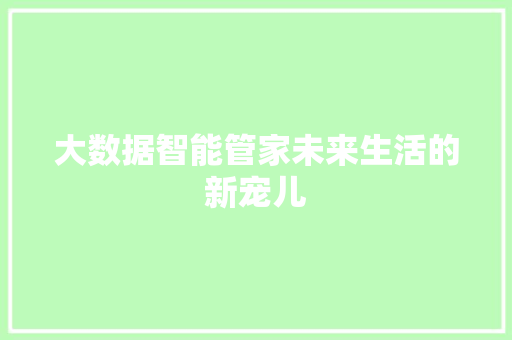 大数据智能管家未来生活的新宠儿