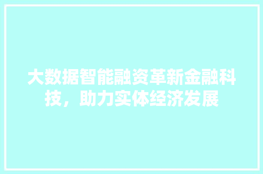 大数据智能融资革新金融科技，助力实体经济发展