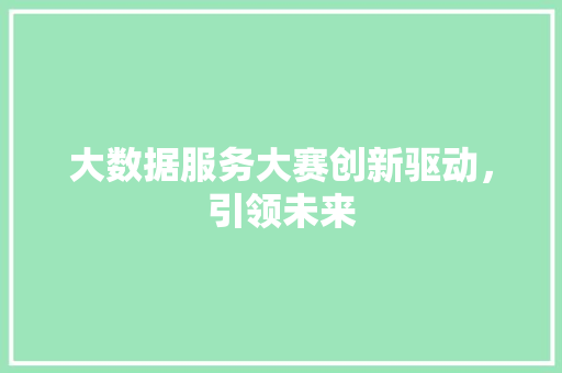 大数据服务大赛创新驱动，引领未来