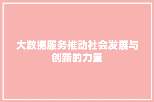 大数据服务推动社会发展与创新的力量