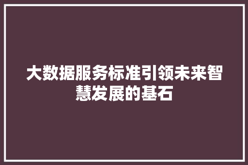 大数据服务标准引领未来智慧发展的基石