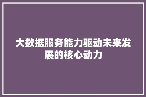 大数据服务能力驱动未来发展的核心动力