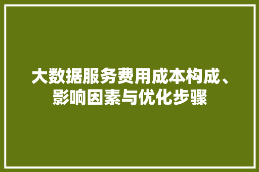 大数据服务费用成本构成、影响因素与优化步骤