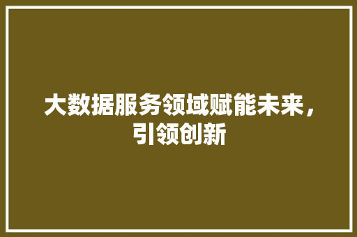 大数据服务领域赋能未来，引领创新