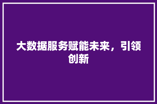 大数据服务赋能未来，引领创新
