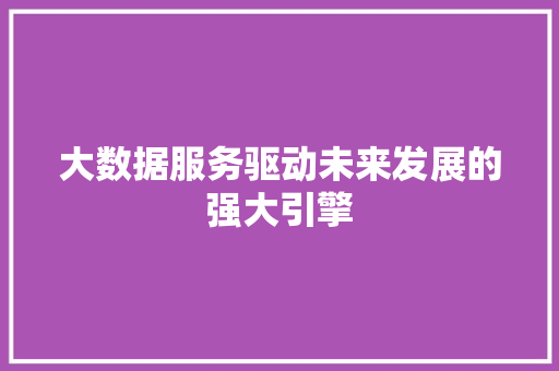 大数据服务驱动未来发展的强大引擎