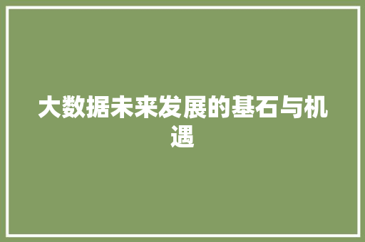 大数据未来发展的基石与机遇