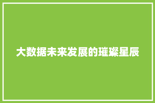 大数据未来发展的璀璨星辰