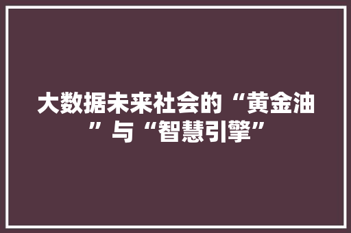 大数据未来社会的“黄金油”与“智慧引擎”