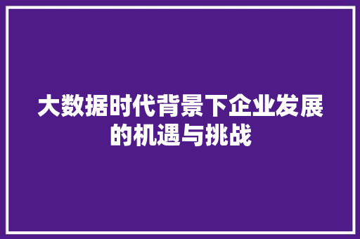 大数据时代背景下企业发展的机遇与挑战