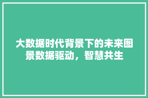 大数据时代背景下的未来图景数据驱动，智慧共生