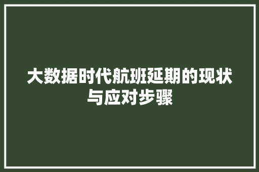 大数据时代航班延期的现状与应对步骤