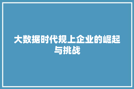 大数据时代规上企业的崛起与挑战