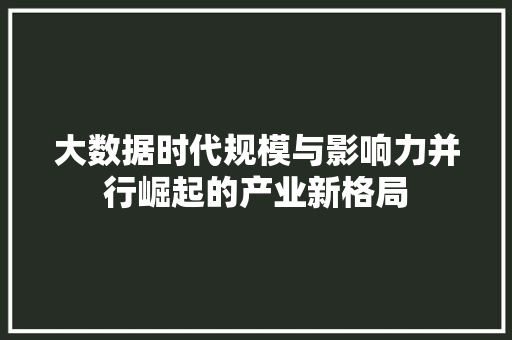 大数据时代规模与影响力并行崛起的产业新格局